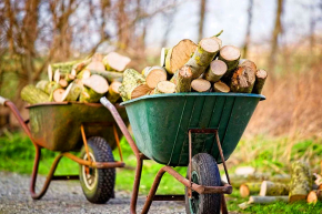Московские пенсионеры начали получать обещанные дрова